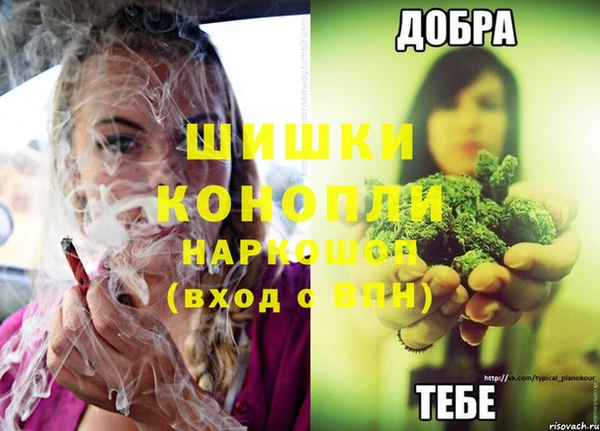 бошки Елабуга